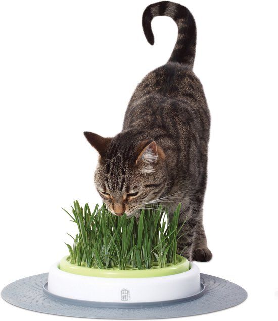 Catit Senses Navulling Gras