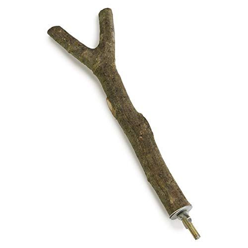 Arquivet Houten kleerhanger - 20 cm - 8435117858763