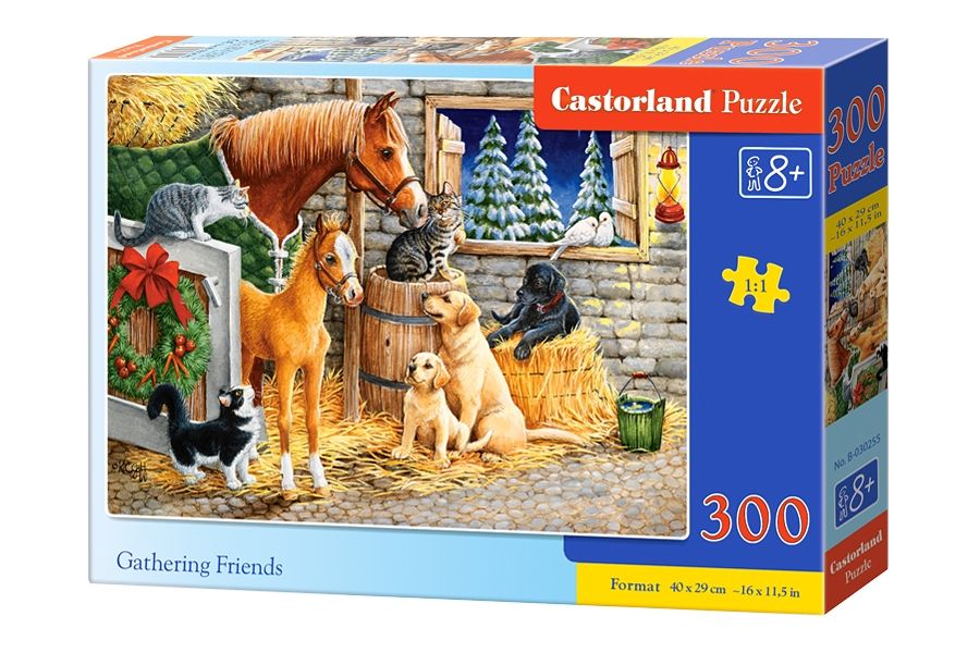 Castorland Gathering friends - 300 stukjes - Puzzel - Multicolor