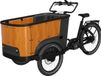 Cangoo Buckle Up - Elektrische Bakfiets Matzwart 50cm Aluminium