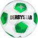 Derbystar Apus TT DB v25 Voetbal Maat 5 Wit/Groen