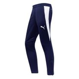 Puma Trainingsbroek TeamFinal26