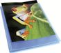 Exacompta showmap Kreacover Chromaline A4 60 hoezen blauw