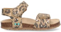 BunniesJR Bimi Beach Platte Sandalen Meisjes Bruin