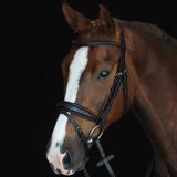 Weatherbeeta Gewatteerde hoofdstellen Collegiate Mono Crown Zwart Leer/Rubber/RVS Full