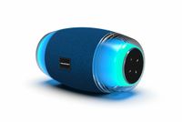 Blaupunkt BLP3915 Blauw 20 W Bluetooth Speaker