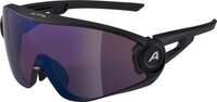 Alpina 5W1NG Q+VM Glasses