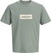JACK & JONES JORNORREBRO BOX LOGO SS CN FST Heren T-shirt