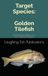 Target Species Golden Tilefish: Mastering the Depths for a True American Treasure