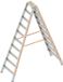 Layher Dubbele Trap Aluminium 2x10 Treden – Professionele Klaptrap – Werkhoogte 3,9m – Lichtgewicht & Zeer Stabiel