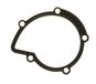 Gasket, Icecat Gasket, water pump
