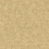 Herbarium Vliesbehang Aards Etnisch Okergeel 0,53 x 10,05 M.