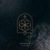 Sonic Rendezvous Winter Dust - Sense By Erosion (2 LP)