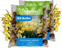 Organifer Narcissenbollen - 100 Bloembollen - Dutch Master - Goudgele Trompetbloemen