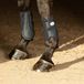 Harry's Horse Beenbeschermers Flextrainer Air Mesh Zwart Maat L