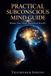 PRACTICAL Independently Published Practical Subconscious Mind Guide Paperback