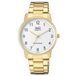 Q&Q QA46J004Y Montre bracelet