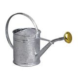 GUILLOUARD 80300 Kleine gieter van verzinkt staal, 1 l, grijs