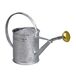 GUILLOUARD 80300 Kleine gieter van verzinkt staal, 1 l, grijs