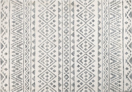 ASPANI - Vloerkleed - Beige/Grijs - 160 x 230 cm - Polyester