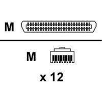 Schneider APC Octopus - Ethernet 100Base-TX kabel - 50-PIN Telco (M) naar RJ-45 (M) - 1.8 m - UTP - CAT 5 - 90° connector