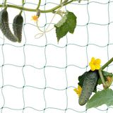 Relaxdays klimnet planten - 200 x 1000 cm - groen