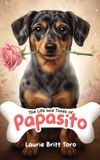 The Amazing Publishing The Life and Times of Papasito Hardcover