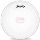 Evans B13G2 13 inch G2 coated