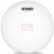 Evans B13G2 13 inch G2 coated