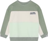 Noppies Trui Sweater LS - Lily Pad - Maat 116