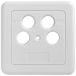 Axing SZU 2-12 stopcontact-afdekking data, SAT, tv voor BSD 960 (2-delig) wit