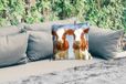 PillowMonkey Buitenkussen - Koeien - Dierenprint - 45x45 cm - Weerbestendig