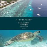 海を見ることを覚えた二つの週末: パングラオ＆バリカサグ 2018：セブ留学中に始めたダイビングの記録