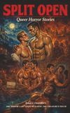SPLIT OPEN Queer Horror Stories Chapters 19-21 The Mirror, Last Night on Earth, The Creature's Touch