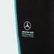 Adidas Performance Mercedes - Amg Petronas Formula 1 Team Dna Broek - Kinderen - Zwart