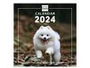 Finocam - Kalender met afbeeldingen wandformaat 2024 januari 2024 - december 2024 (12 maanden) Dogs internationaal
