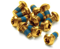 Reverse Schijfrotor Bouten Set - 12 stuks - Goud