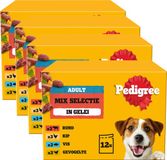 Pedigree Hondenvoer - Mix Selectie in gelei - Maaltijdzakjes - 48 x 100 g