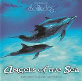Somerset Dan Gibson - Angels Of The Sea