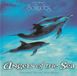 Somerset Dan Gibson - Angels Of The Sea