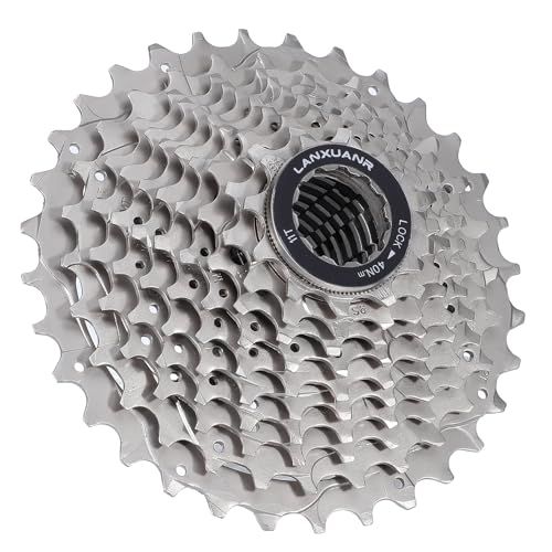 LANXUANR 10 Speed Mountain Fiets Cassette Fit voor MTB Fiets, Road Fiets, Super Licht (11-32T)