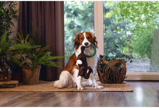 Beeztees Jungle Mats hondenspeelgoed, pluche, bruin, 44 x 15 x 12 cm