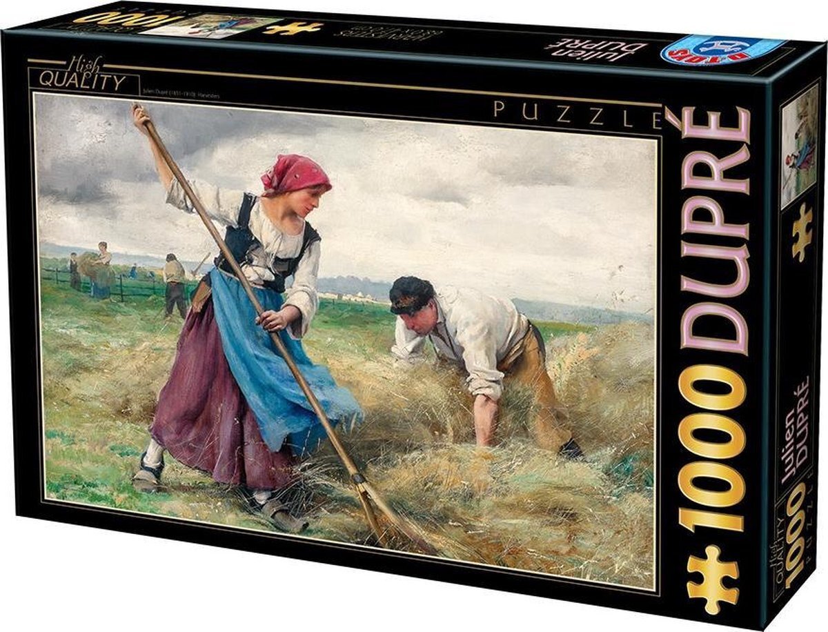 dtoys 72788 - Puzzel 1000 Julien Dupre