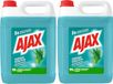 Ajax Allesreiniger Eucalyptus geur 2x5L