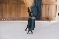 Kentucky Horsewear Transport Onderbandages stal met haakbescherming zwart