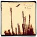 V2 Red Eye Alejandro Escovedo The Crossing
