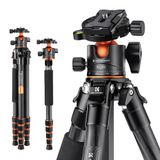 K&F Concept Koolstofvezel Camera Statief