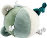 Nattou Lapidou Knuffel Activiteitenbal - Sensorisch Speelgoed - 15 cm - Lindegroen