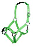 HKM Sydney Style Halster Neongroen Koudbloed