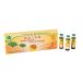 Yongkang International Ginkgo Biloba und Ginseng Extractum, 10 Flacons